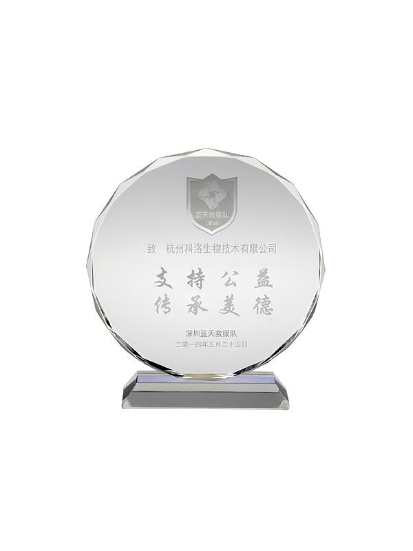 藍(lán)天救援隊(duì)公益證書(shū)